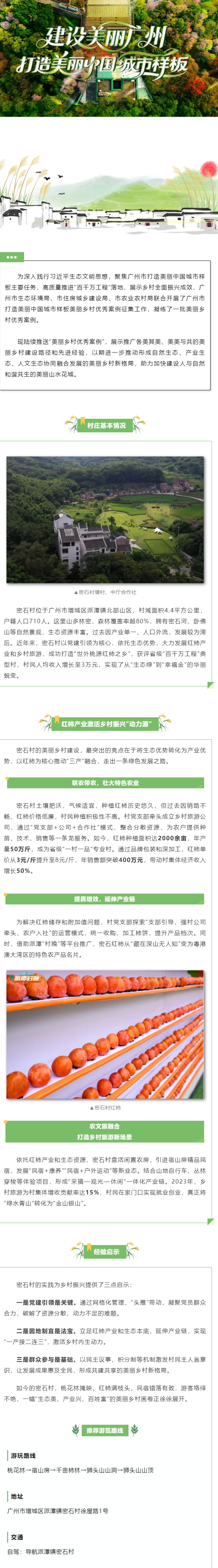 美丽乡村优秀案例（11）_ 增城区密石村：红柿产业绘就美丽乡村新画卷.png